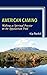 American Camino: Walking as Spiritual Practice on the Appalachian Trail (Toposophia: Thinking Place/Making Space)