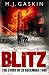 Blitz : The Story of 29th December 1940 by M. J. Gaskin (2006-05-03)