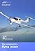 The Introductory Flying Lesson