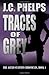 By J C Phelps - Traces of Grey: Book Four of The Alexis Stanton Chronicles (Volum (2013-09-23) [Paperback]