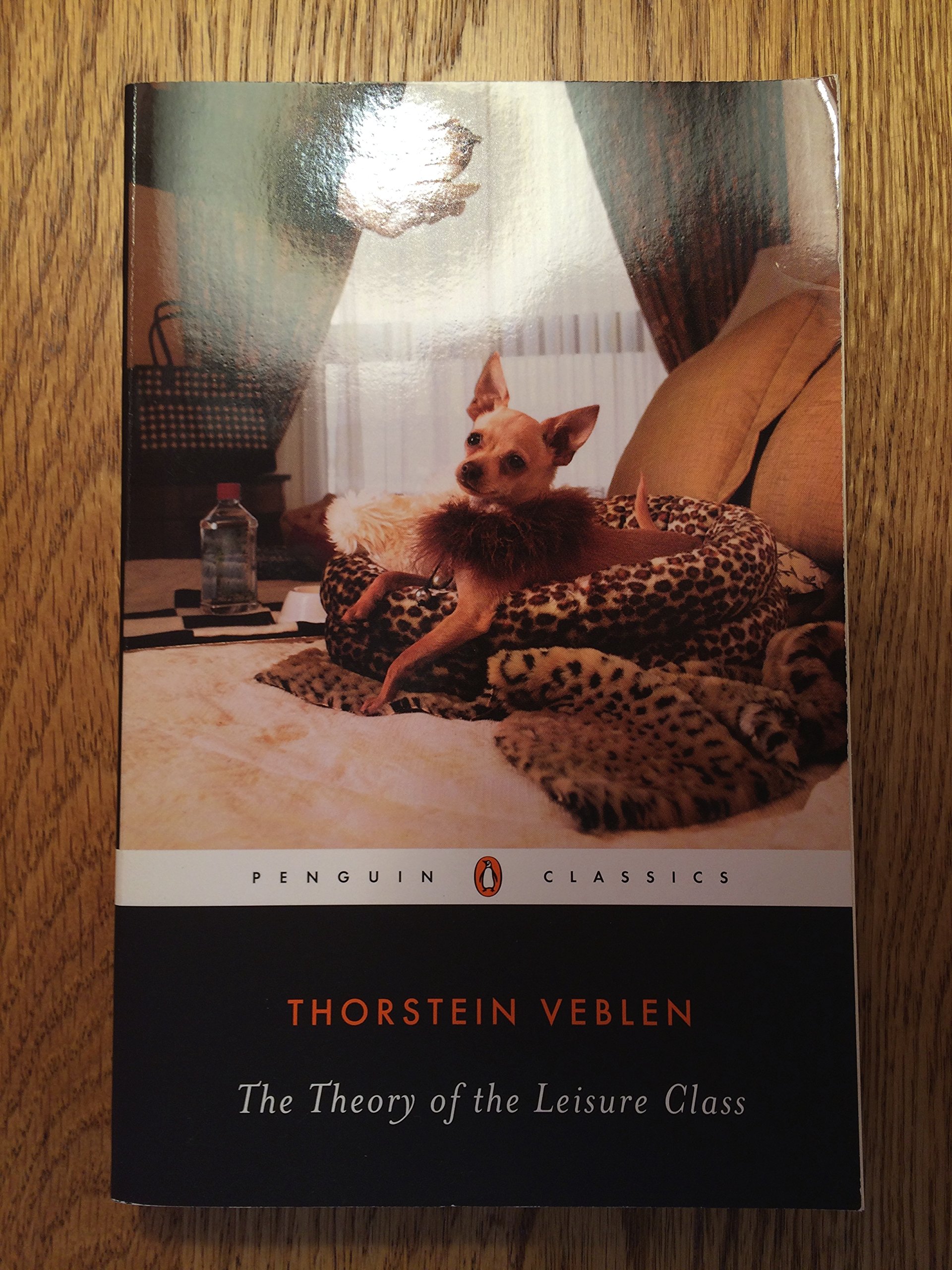 The Theory of the Leisure Class