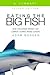 Eating the Big Fish summary by Adam Morgan