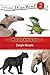 [(Jungle Beasts )] [Author: Zondervan] [Aug-2011]