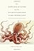 The Knowledge of Nature and the Nature of Knowledge in Early Modern Japan (Studies of the Weatherhead East Asian Institute) by Federico Marcon (2015-07-16)