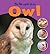 Life Cycle of an Owl (Learning About Life Cycles) by Ruth Thomson (2011-08-01)