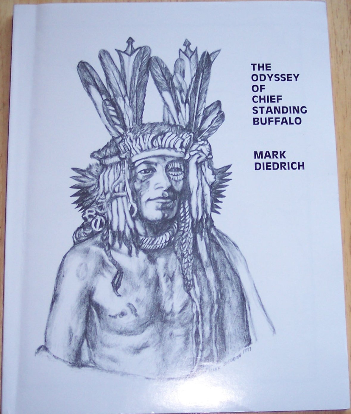 Odyssey of Chief Standing Buffalo and the Northern Sisseton Sioux (Paperback)