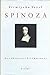 Spinoza: Das Abenteuer Der Immanenz