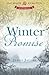 The Winter Promise by Jenny Jacobs (2013-02-11)
