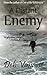 A Distant Enemy: A Novel of Alaska by Deb Vanasse (2014-08-05)