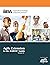 Agile Extension to the Babok (R) Guide (Version) by Paul Stapleton (Editor) (1-Jul-2013) Paperback