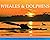 whales and dolphins by John Birdsall