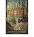 A Brief History of the Celts