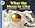 What the Moon is Like (Let's Read-&-find-out Science: Stage 2)