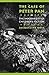 The Case of Peter Pan, or the Impossibility of Children's Fiction (New Cultural Studies) Paperback – December 1, 1992