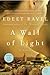 Wall of Light, A Paperback ...