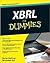 XBRL For Dummies 1st (first...