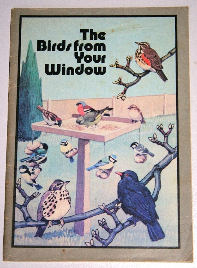 The Birds From Your Window (Paperback)