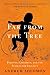 Far from the Tree: Parents, Children and the Search for Identity