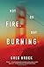 Not on Fire, but Burning: A Novel by Greg Hrbek (2015-09-08)