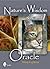 Nature's Wisdom Oracle (with cards) by Mindy Lighthipe (2011-01-15)