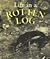 Life in a Rotten Log (Microhabitats)