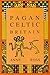 Pagan Celtic Britain: Studies in Iconography and Tradition (Biography & Memoirs) by Anne Ross (1993-12-05)
