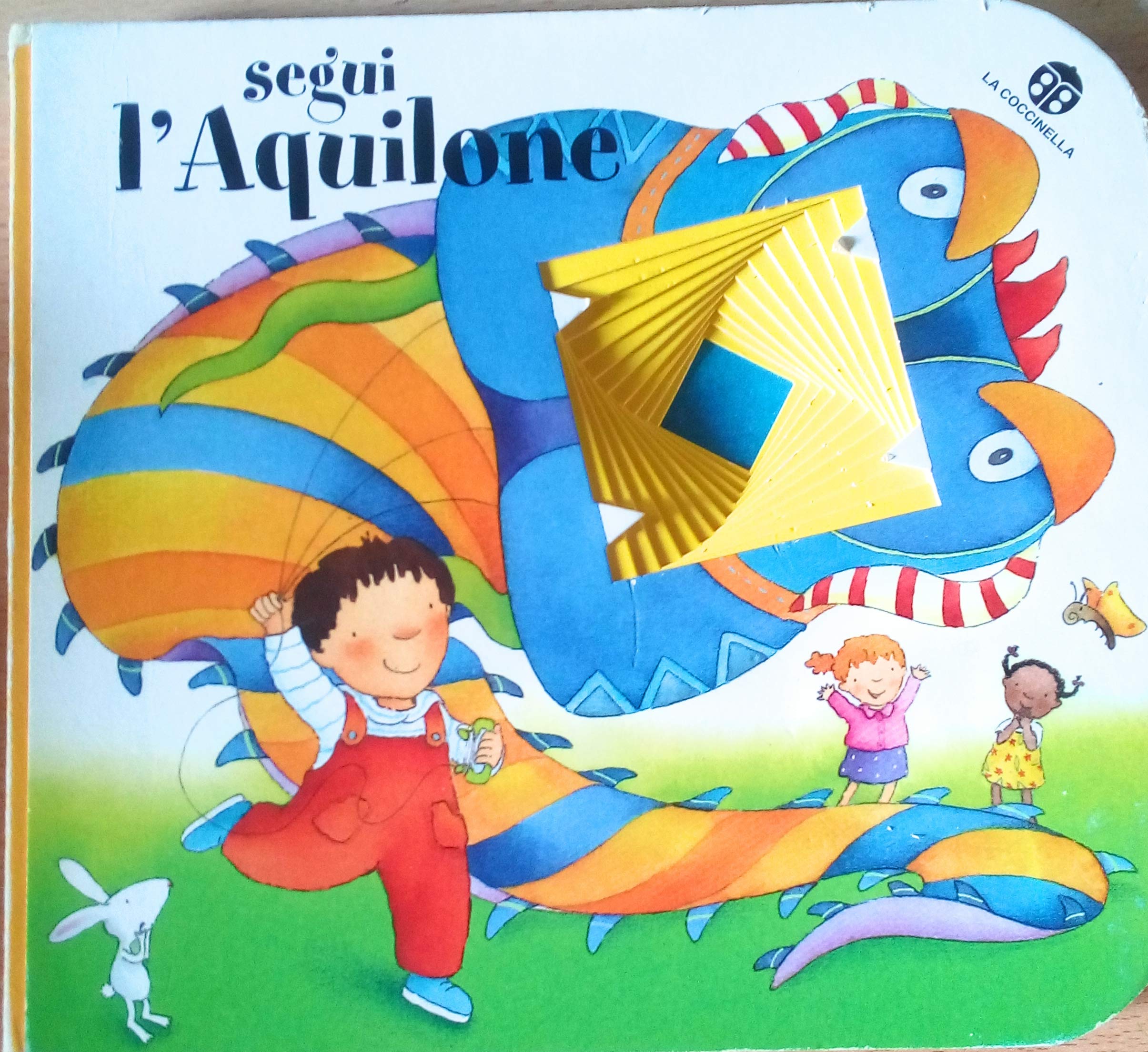 Segui l'aquilone (Paperback)