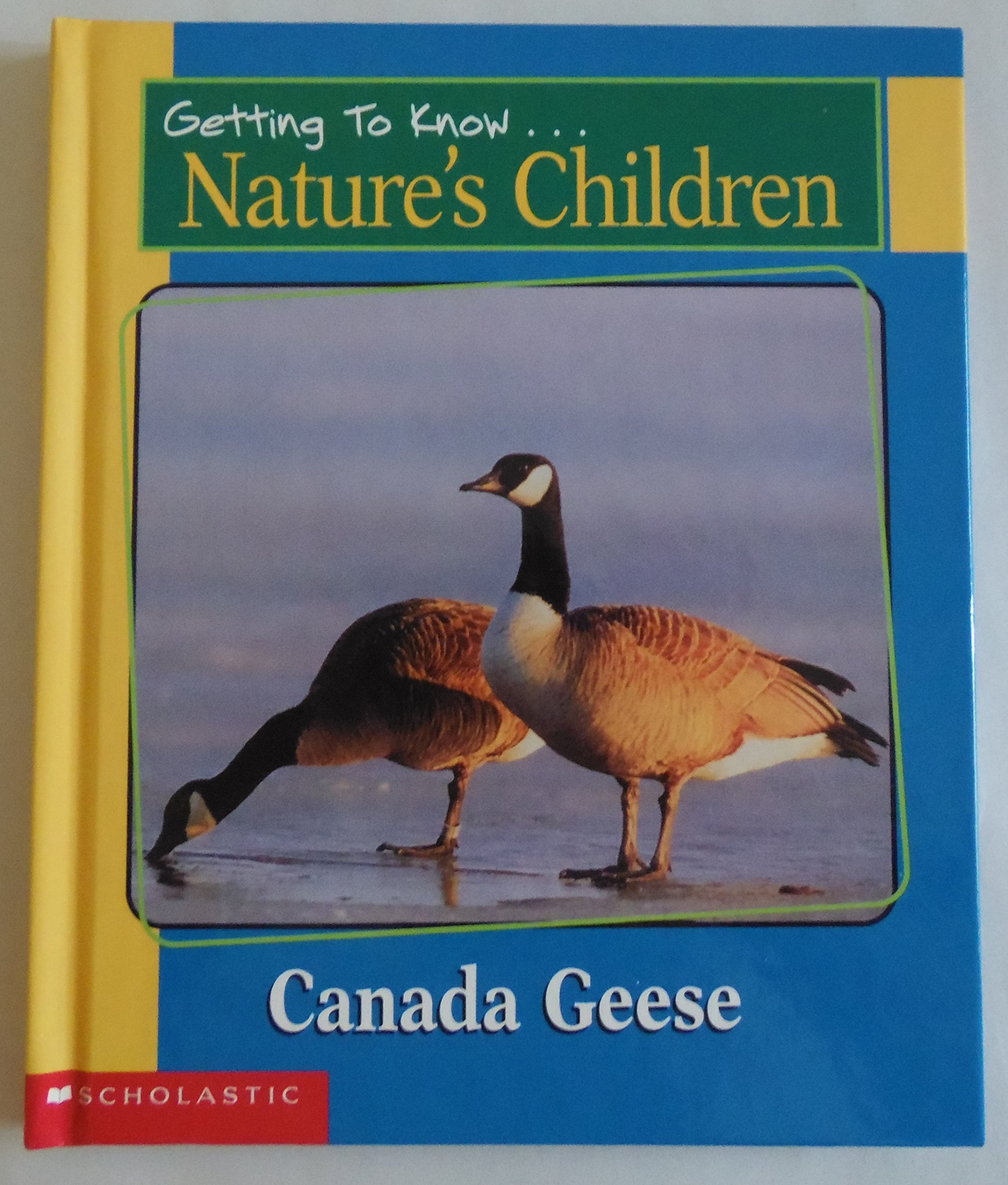 Canada Geese / Hippopotamuses (Getting To Know Nature's Children)