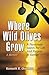 Where Wild Olives Grow by Kenneth Overman