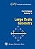 Large Scale Geometry (EMS Textbooks in Mathematics) Hardcover – October 15, 2012