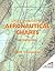 Understanding Aeronautical Charts by Terry T. Lankford (1996-04-01)