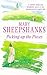Picking Up the Pieces by Mary Sheepshanks (1998-08-01)