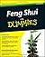 Feng Shui For Dummies by David Daniel Kennedy (2010-12-03)