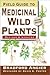 Field Guide To Medicinal Wi...