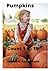 Count Pumpkins 1 to 15: Hal...