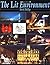 Lit Environment by Derek Phillips (2001-12-31)
