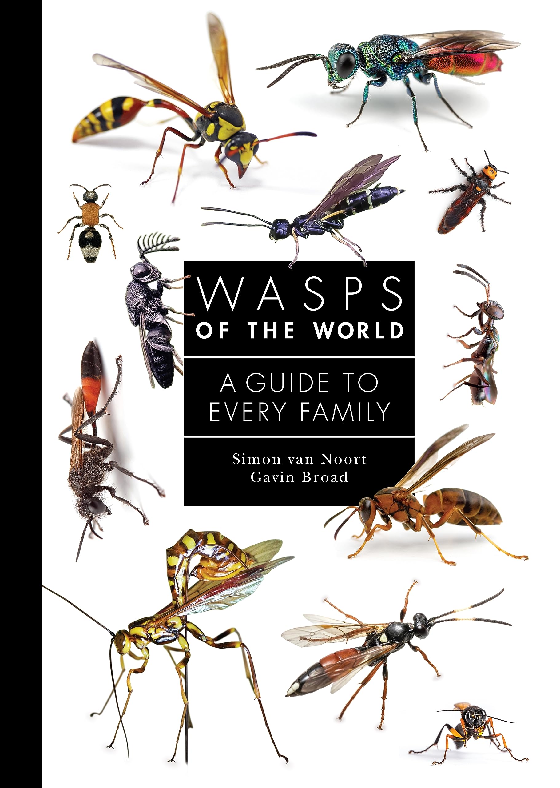 Wasps of the World: A Guide to Every Family (Hardcover)