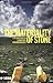 The Materiality of Stone: Explorations in Landscape Phenomenology: 1 by Christopher Y. Tilley (2004-07-01)