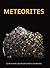 Meteorites 1st (first) Edition by Smith, Caroline, Russell, Sara, Benedix, Gretchen [2010]