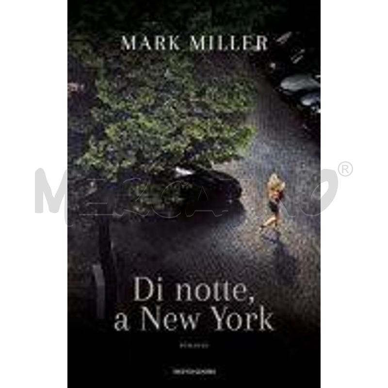 Di notte, a New York