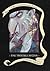 [ A Series of Unfortunate Events Box: The Trouble Begins (Books 1-3) Snicket, Lemony ( Author ) ] { Hardcover } 2001