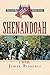Shenandoah (The Civl War Battle Series, Book 8) by Reasoner, James (2005) Paperback
