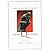 Big Questions: A Short Introduction to Philosophy (with InfoTrac) 6th edition by Solomon, Robert C. (2001) Hardcover