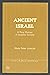 Ancient Israel: A new history of Israelite society (The biblical seminar)