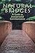 Natural Bridges: A Guide to Interpersonal Communication by Fujishin, Randy (2011) Paperback