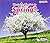 What Can You See in Spring? (Seasons) by Smith, Sian (2014) Paperback