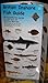 British Inshore Fish Guide