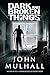Dark and Broken Things by John Mulhall (2014-12-18)