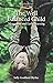 The Well Balanced Child: Movement and Early Learning (Early Years) by Sally Goddard Blythe (25-Nov-2005) Paperback