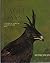 Eagle days;: A study of African eagles at the nest